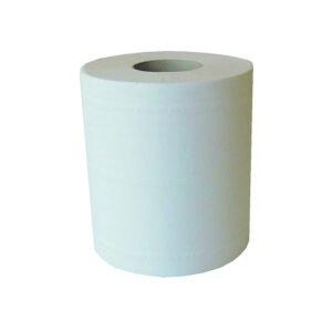 Rouleaux Essuie-Mains - Lisse - 450 Formats - Laize 20 cm