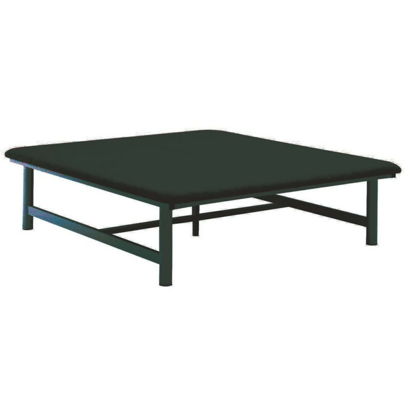 table de bobath fixe double