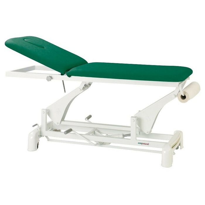 table de massage électrique 2 plans vert foncé