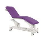 table de massage électrique 3 plans ecopostural prune