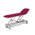 table massage électrique 2 plans degas prune