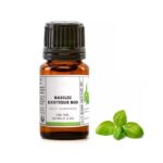 huile essentielle basilic