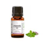 huile essentielle marjolaine coquilles bio