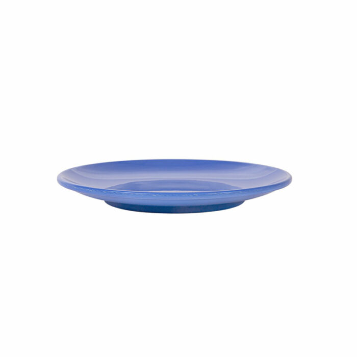Assiette melamine bleu réutilisable 15.3 profil