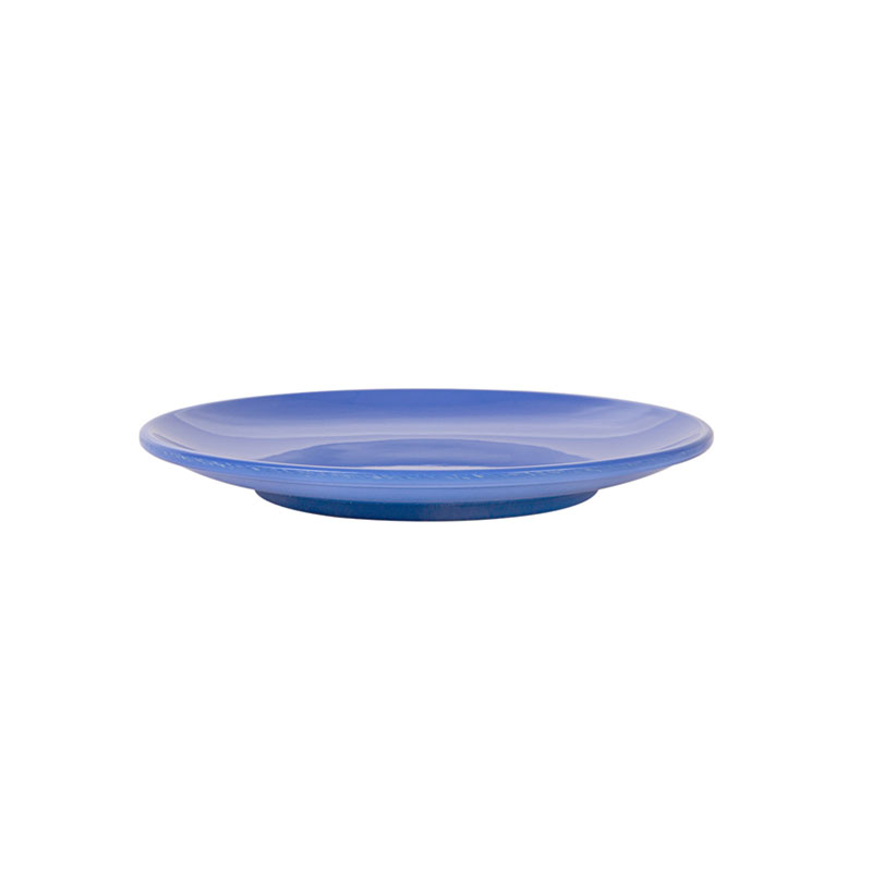 Assiette melamine bleu réutilisable 15.3 profil