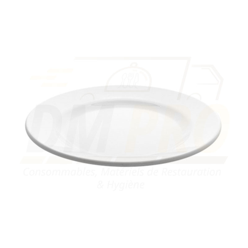 Assiette plate melamine blanche réutilisable L Profil