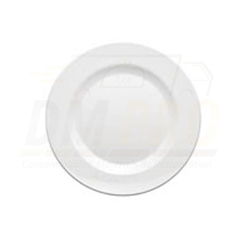 Assiette plate melamine blanche réutilisable