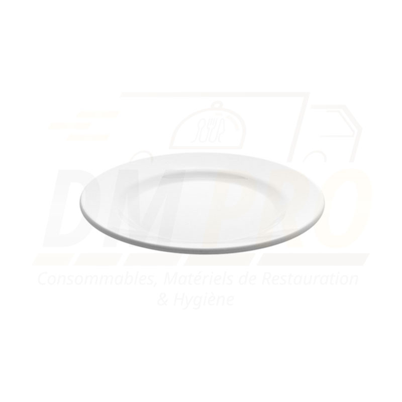 Assiette plate mélamine blanche réutilisable profil