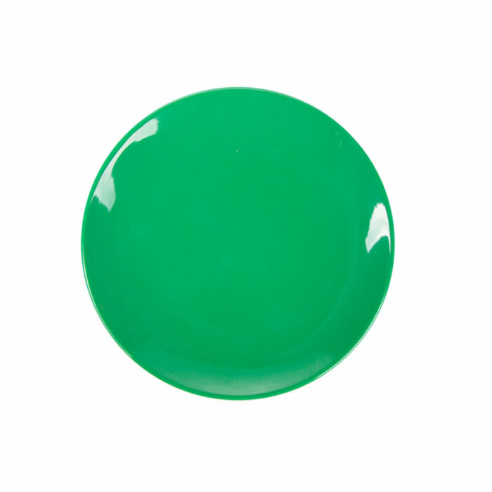 Assiette melamine vert réutilisable 15.3