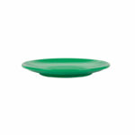 Assiette melamine vert réutilisable 15.3 profil