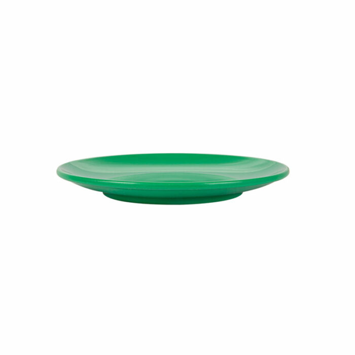Assiette melamine vert réutilisable 15.3 profil