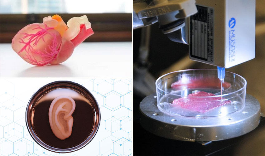 Illustrations Bio-impression 3D