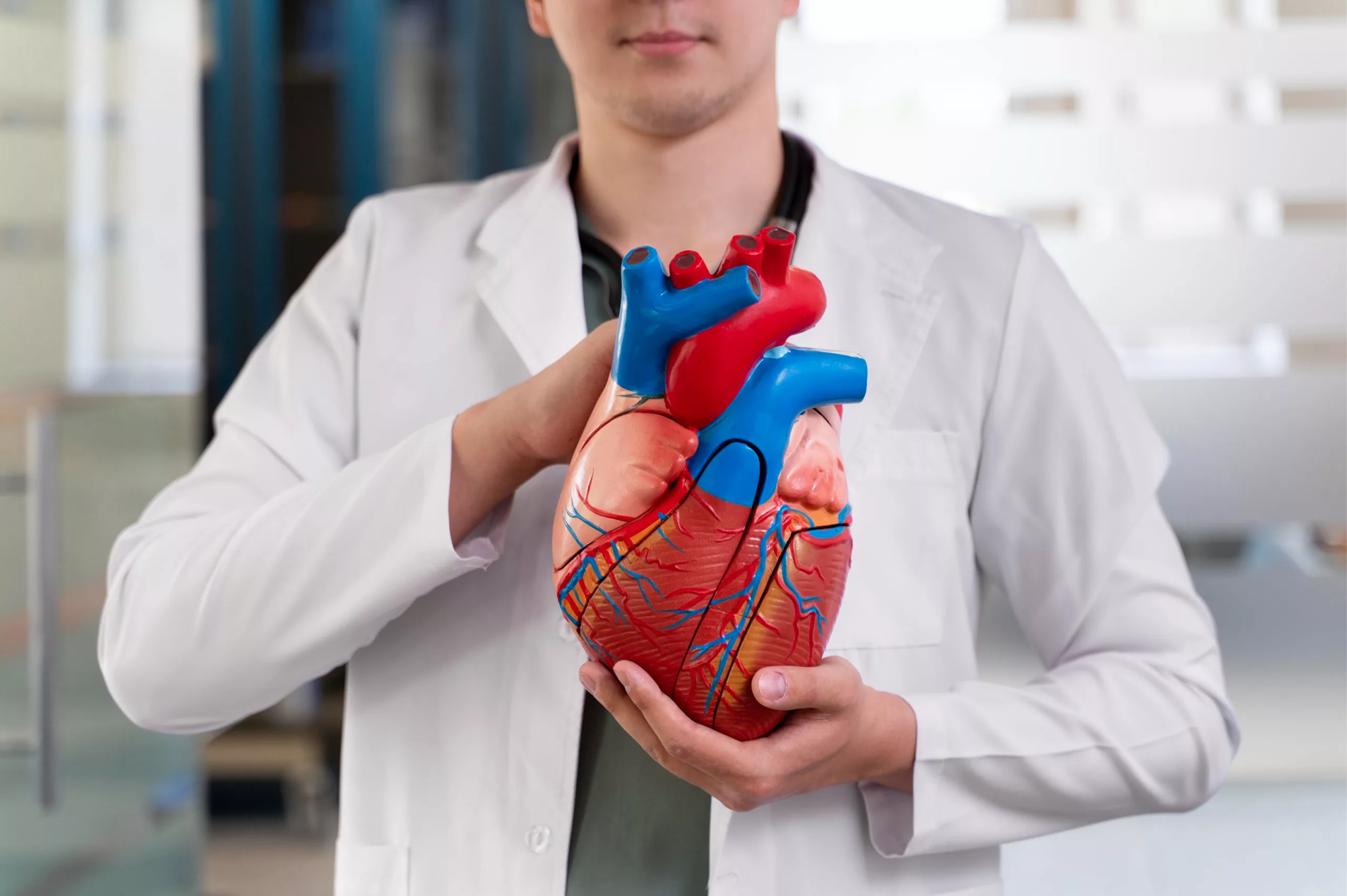 mise en avant de l'article du blog "prévention cardiovasculaire"
